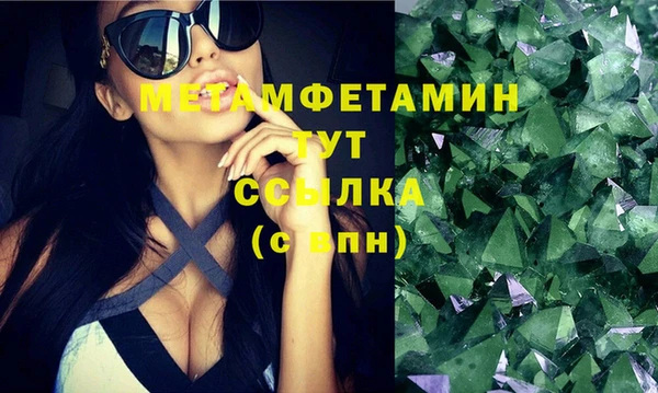 прущие грибы Горнозаводск