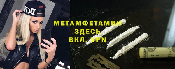 прущие грибы Гусиноозёрск