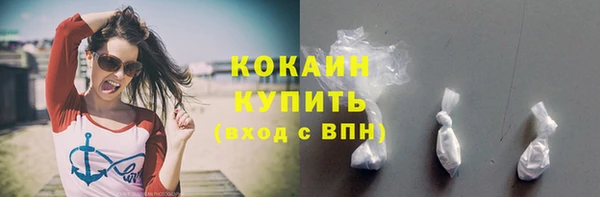 стаф Гусев