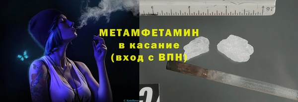 прущие грибы Горнозаводск