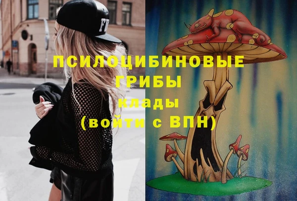 стаф Гусев