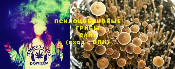 не бодяженный Володарск