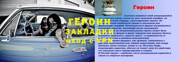 прущие грибы Горнозаводск