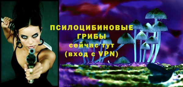 синтетический гашиш Гусь-Хрустальный