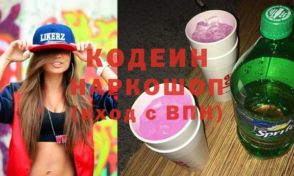 прущие грибы Гусиноозёрск