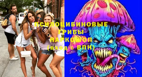 прущие грибы Гусиноозёрск