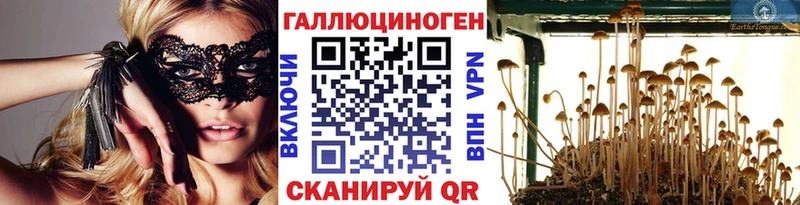где найти наркотики  Ельня  Галлюциногенные грибы Cubensis 